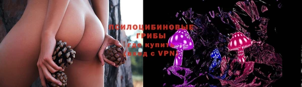 стаф Алексеевка